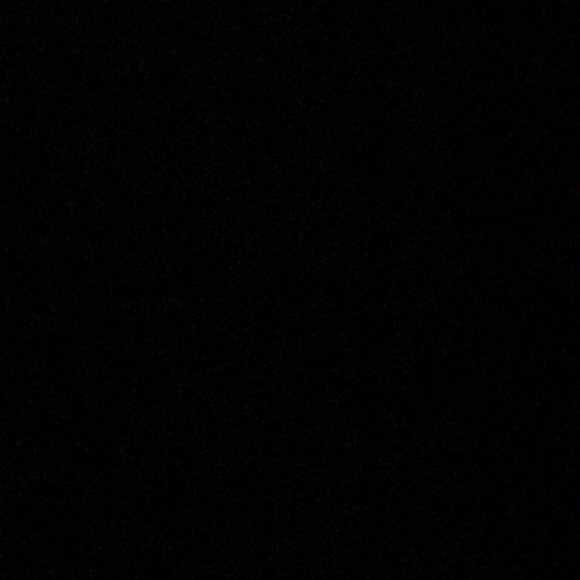 Meet your Posher, Brady - Picture 1 of 1